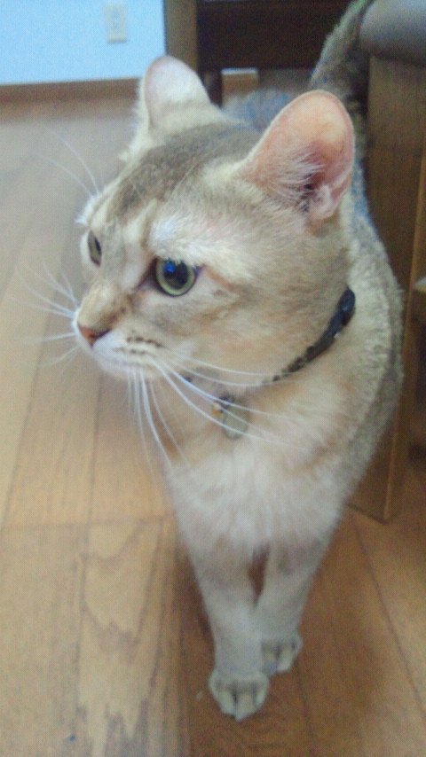 2012102318480000.jpg