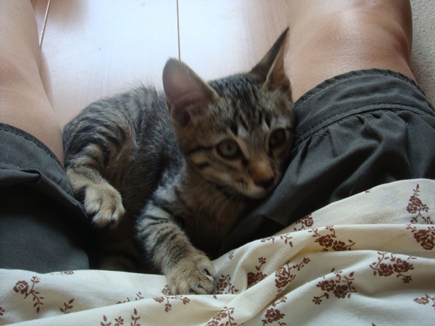 DSC03336.jpg