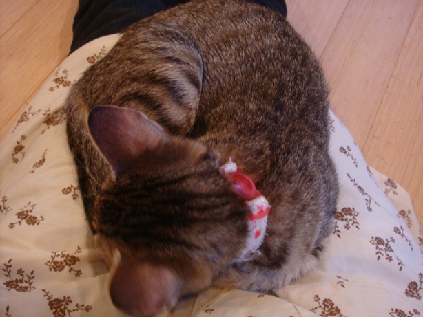 DSC03834.jpg