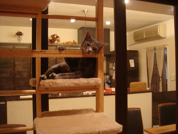 DSC04047.jpg