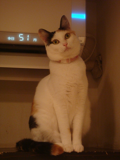 DSC04222.jpg