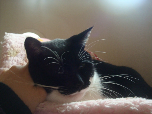 DSC04338.jpg