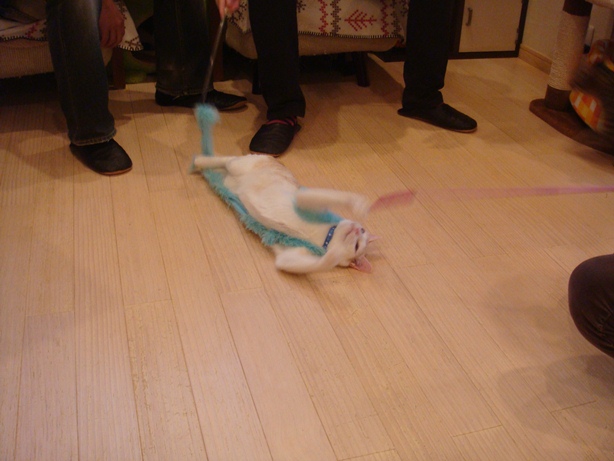 DSC04466.jpg