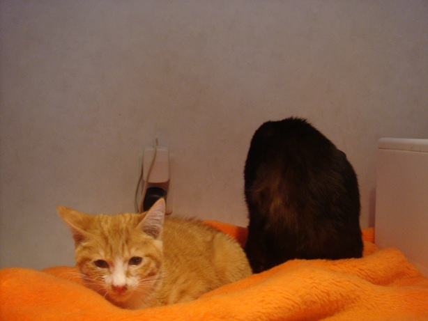 DSC04572.jpg