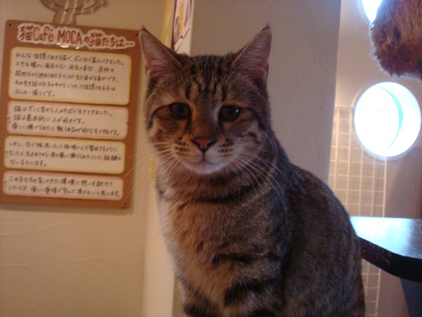 DSC04590.jpg