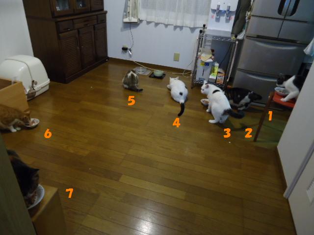 奇跡の?集合写真