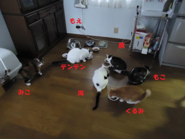 集合写真?