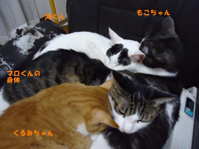 入り乱れてる