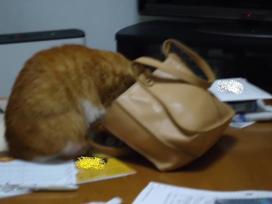 またですか?