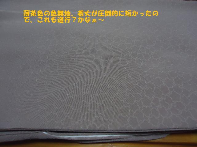 梅柄の色無地