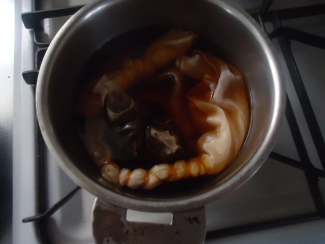 DSC05356.jpg
