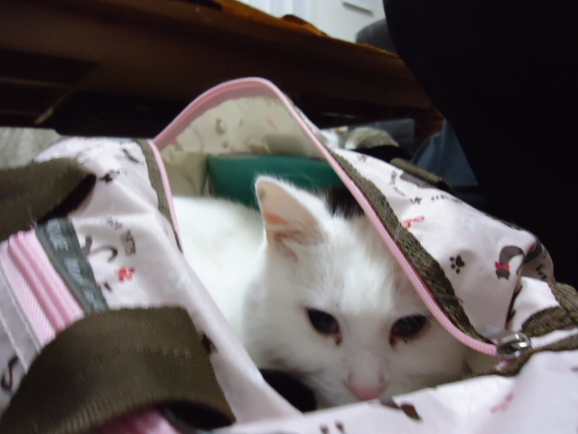 DSC05422.jpg