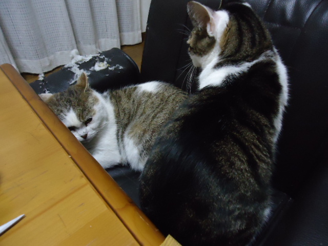 DSC05425.jpg