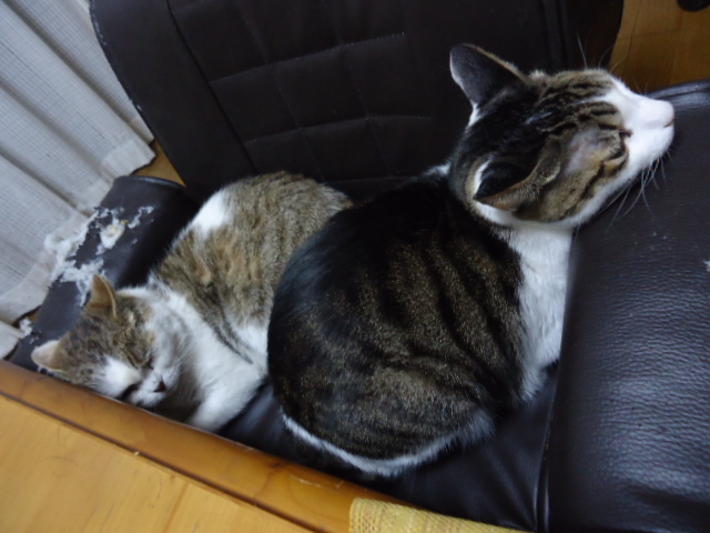 DSC05428.jpg