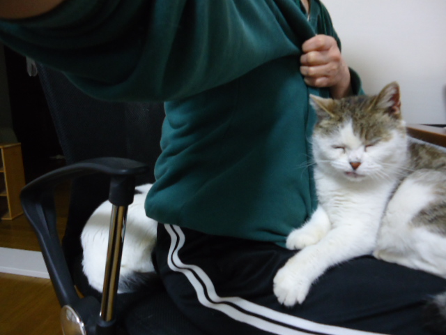 DSC05455.jpg