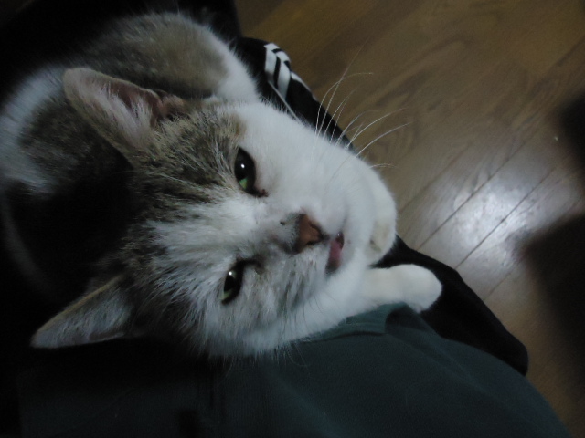 DSC05469.jpg