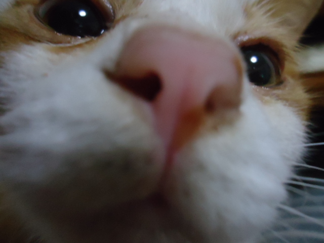 DSC05495.jpg