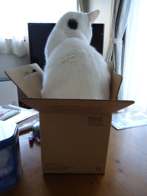 はみ出しています