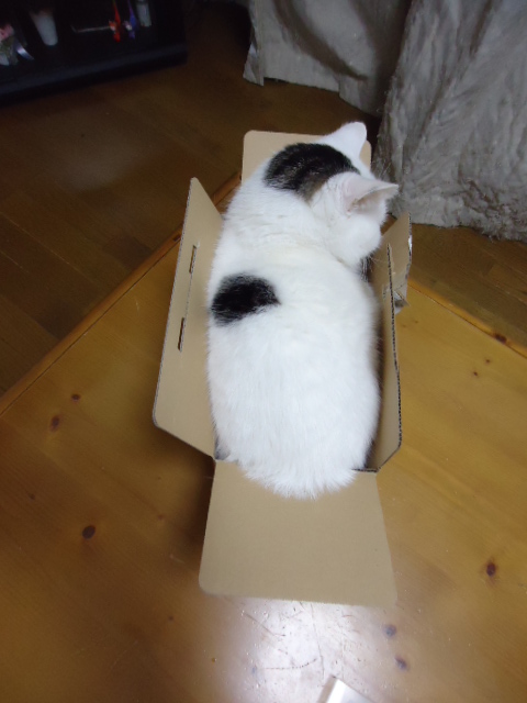 はみ出し