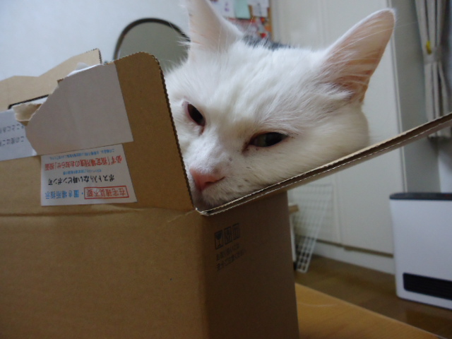 顔をもたれかけている