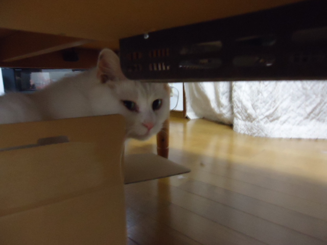 その時テンテンは