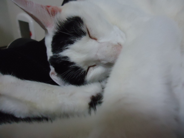 DSC05595.jpg