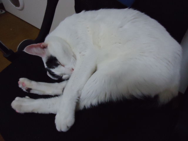 DSC05596.jpg