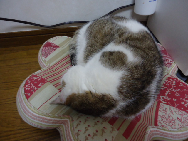 DSC05620.jpg