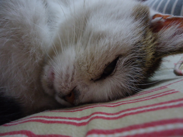 DSC05624.jpg
