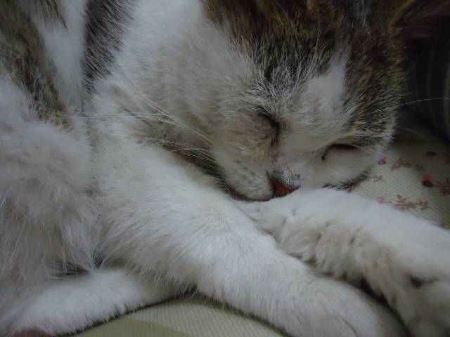 DSC05629.jpg
