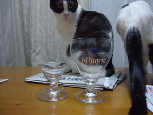 DSC05744.jpg