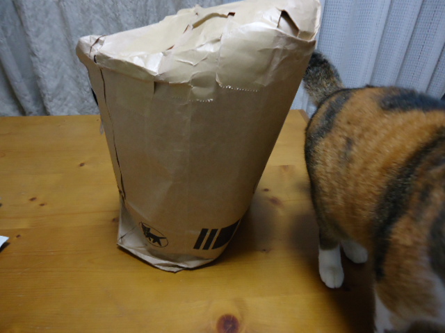 DSC05755.jpg