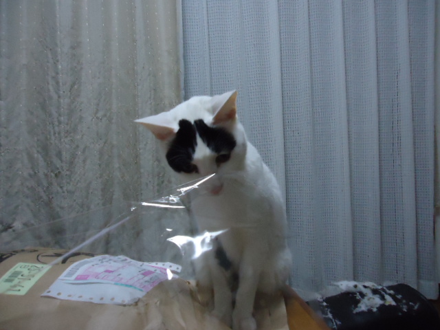 DSC05765.jpg