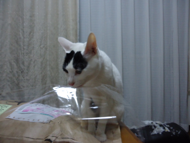 DSC05766.jpg