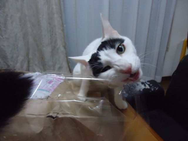 DSC05767.jpg