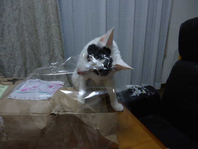 DSC05769.jpg