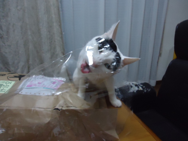 DSC05770.jpg