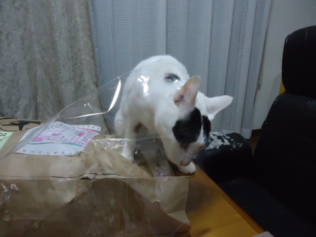 DSC05771.jpg