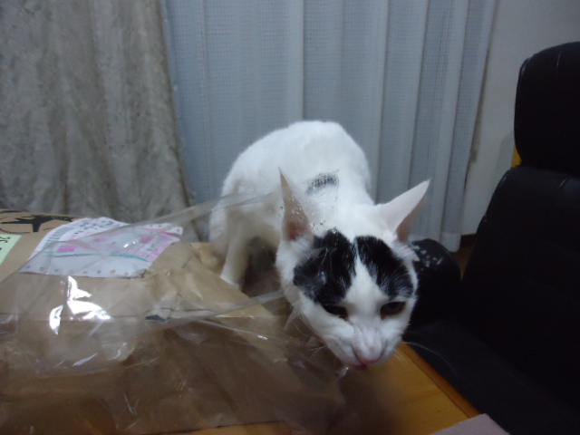 DSC05773.jpg