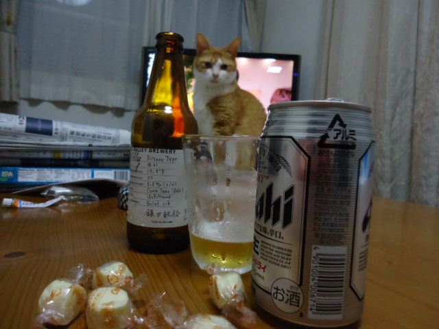 DSC05804.jpg