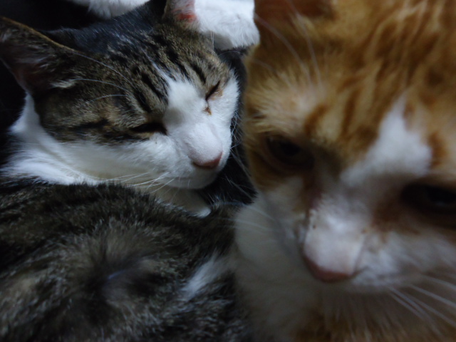 DSC05902.jpg