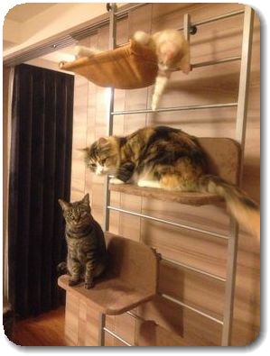 珍しいスリーショット