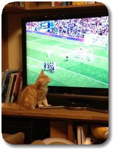 サッカー始まるよ!