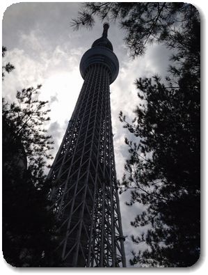 逆光のスカイツリー