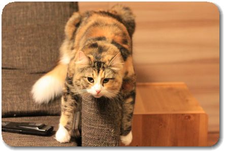 その姿勢好きね~