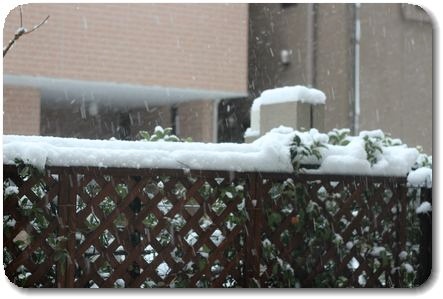 外は雪