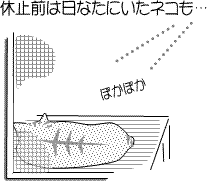 neko-20120604-2.gif