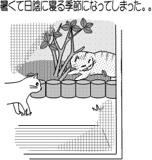 neko-20120604-3.gif