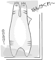 neko-20120622-1.gif
