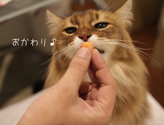 モラタメ5